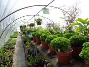 Allerlei_17