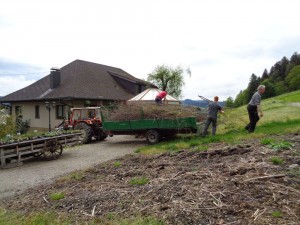 Dahlien_anpflanzen_vorbereiten57