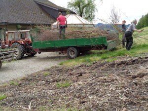 Dahlien_pflanzen_vorbereiten_58