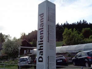 Lockpfosten_Dahlienland_78
