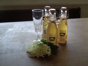 Holunderblüten_Sirup_3