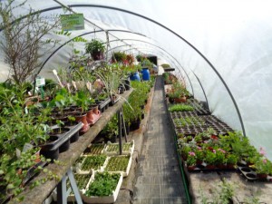 Allerlei_18