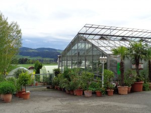 ÜWP_45