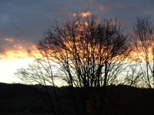 Wetter_14