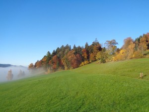 Wetter_8