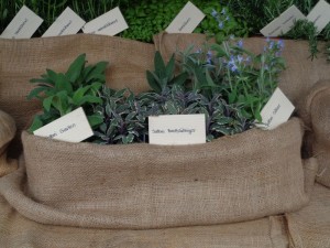 Gotthelfmarkt_31