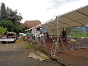 Dahlienschau_Vorbereitung_5