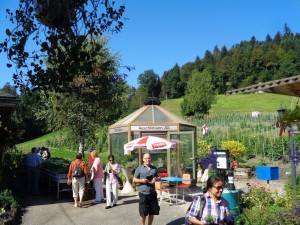 dahlienschau_2016_3
